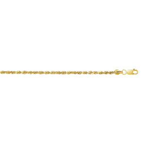 10 Karat Yellow Gold 22 Inch 2.5mm Rope Chain