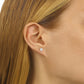 Martini Set Natural Diamond Stud Earrings in 14 Karat White Gold (1 1/2 CTW)