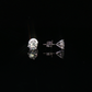 Martini Set Natural Diamond Stud Earrings in 14 Karat White Gold (2 CTW)