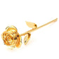 Forever in Bloom Mother's Day 24K Gold Rose & Pendant Gift Set