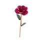 Red Magenta 24K Gold Dipped Rose