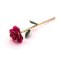 Red Magenta 24K Gold Dipped Rose