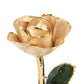 Champagne 24K Gold Dipped Rose