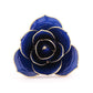 Navy Blue 24K Gold Dipped Rose