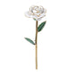 Snow White 24K Gold Dipped Rose