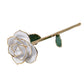 Snow White 24K Gold Dipped Rose