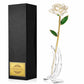 Snow White 24K Gold Dipped Rose