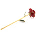 Red Wine 24K Gold Dipped Rose