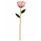 Light Pink 24K Gold Dipped Rose