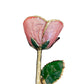 Light Pink 24K Gold Dipped Rose