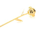 Solid Gold 24K Gold Dipped Rose